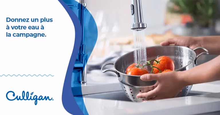 Une femme qui lave des tomates dans une passoire sous l'eau du robinet